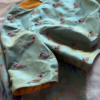 Pistachio Green Bird Motif Embroidered Saree Fabric and Blouse Piece