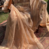Golden Tissue Silk Handwork Saree Fabric