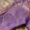 Champagne Tissue Silk Saree with Lilac Vine Embroidery and Brocade Blouse Piece