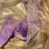 Champagne Tissue Silk Saree with Lilac Vine Embroidery and Brocade Blouse Piece