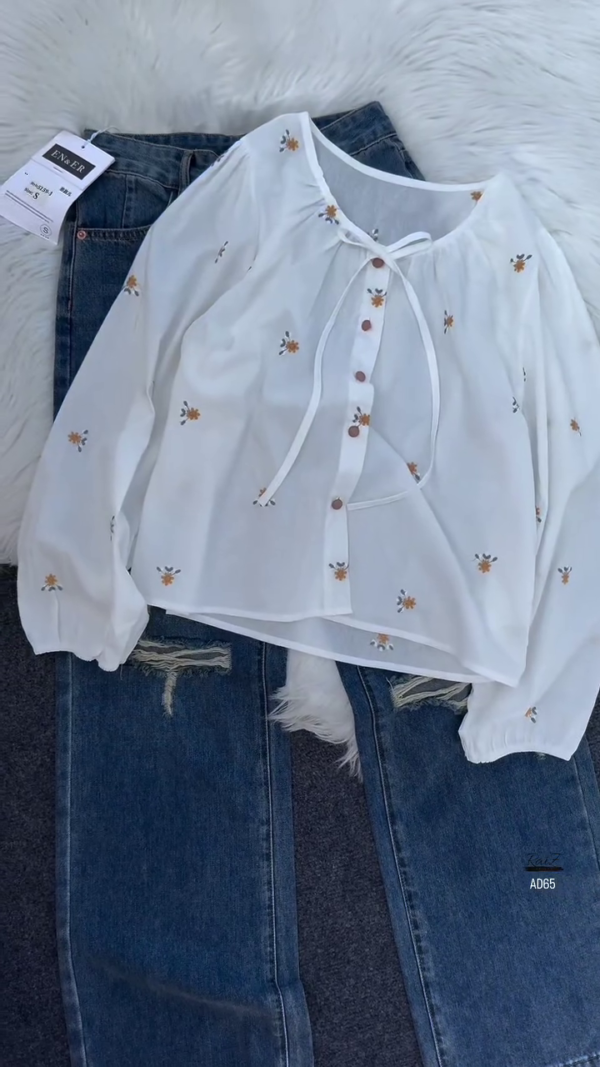 625-1.png Embroidered Sheer Blouse