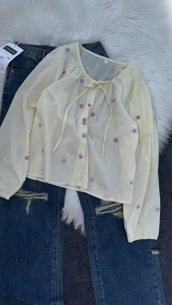 625-6.png Embroidered Sheer Blouse