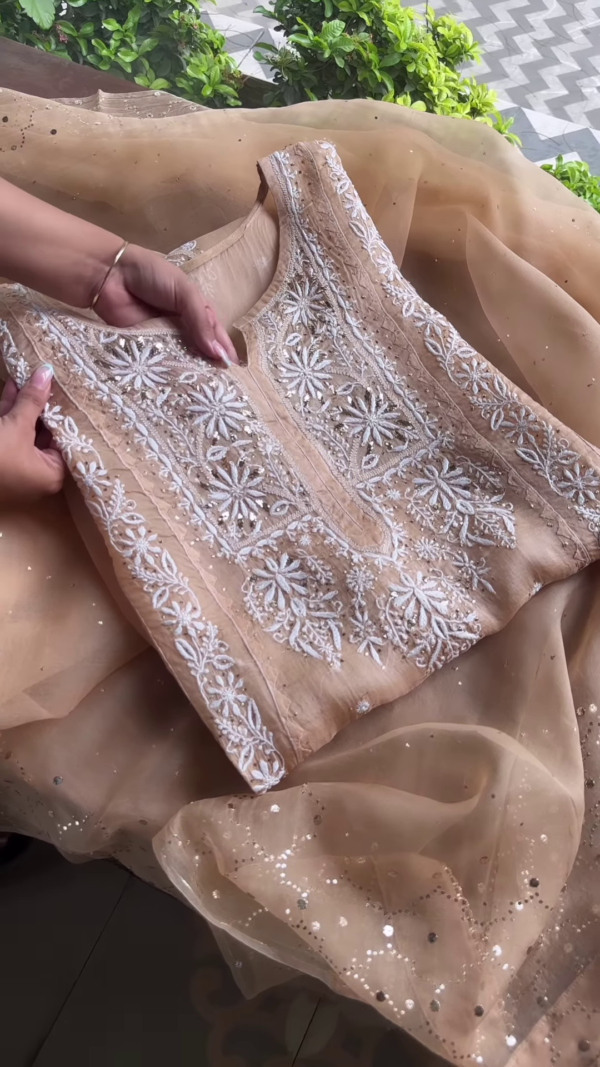 1196-3.png Beige Sheer Embroidered Fabric Panel with White Floral Motifs & Sequin Accents – Ethnicwear Material