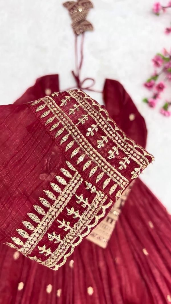 2723-3.png Crimson Red Silk-Blend Anarkali with Concentric Geometric Zari Border