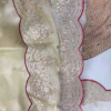 2729-2.png Ivory Shimmer Organza Saree with Scalloped Sequin Borders