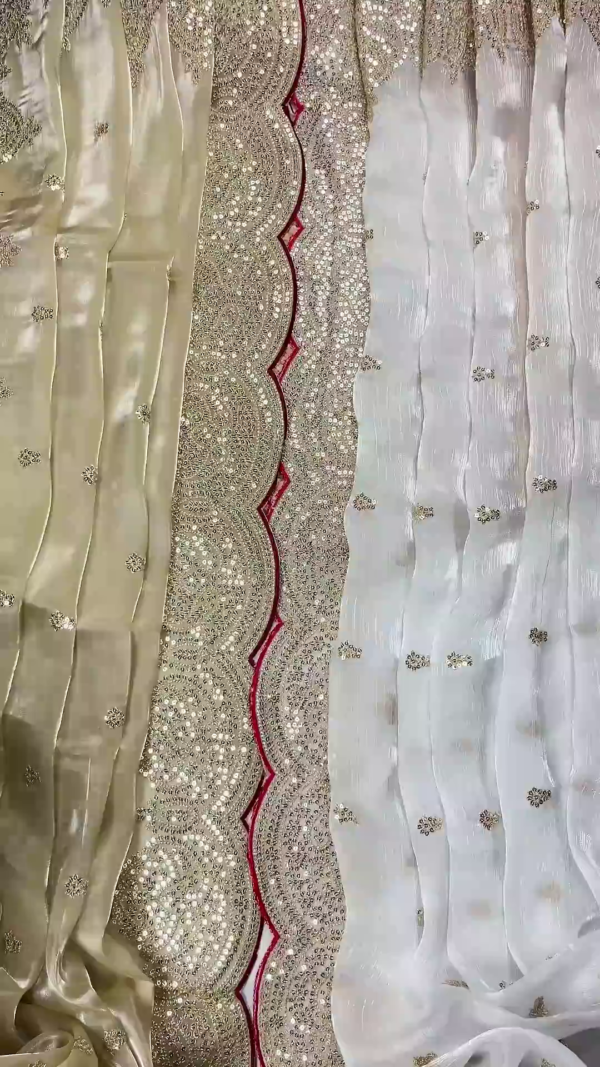 2729-3.png Ivory Shimmer Organza Saree with Scalloped Sequin Borders