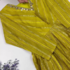 Jewel-Toned Gown with Lurex Stripes and Mirror-Work V-Neck