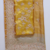 276-1.png Golden Radiance Organza Embroidered Suit Set