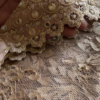 Champagne Gold Sequin Embroidered Lace Saree with Designer Blouse