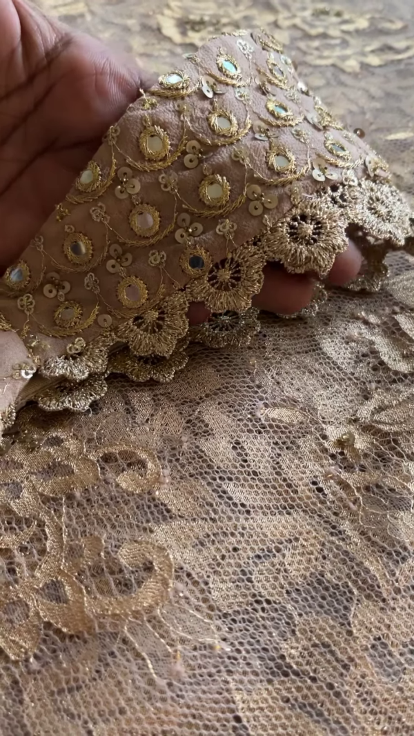 Champagne Gold Sequin Embroidered Lace Saree with Designer Blouse