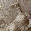 Champagne Gold Sequin Embroidered Lace Saree with Designer Blouse