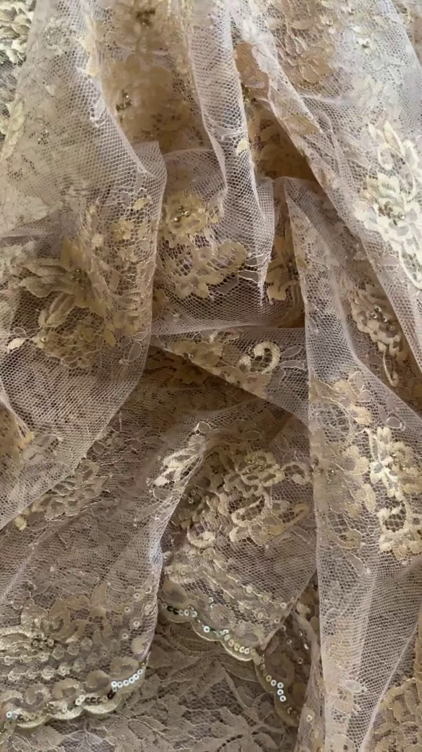 Champagne Gold Sequin Embroidered Lace Saree with Designer Blouse