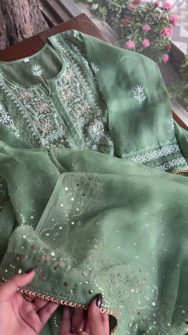 Sage Green Embroidered Organza Suit Set with Sequin Highlights