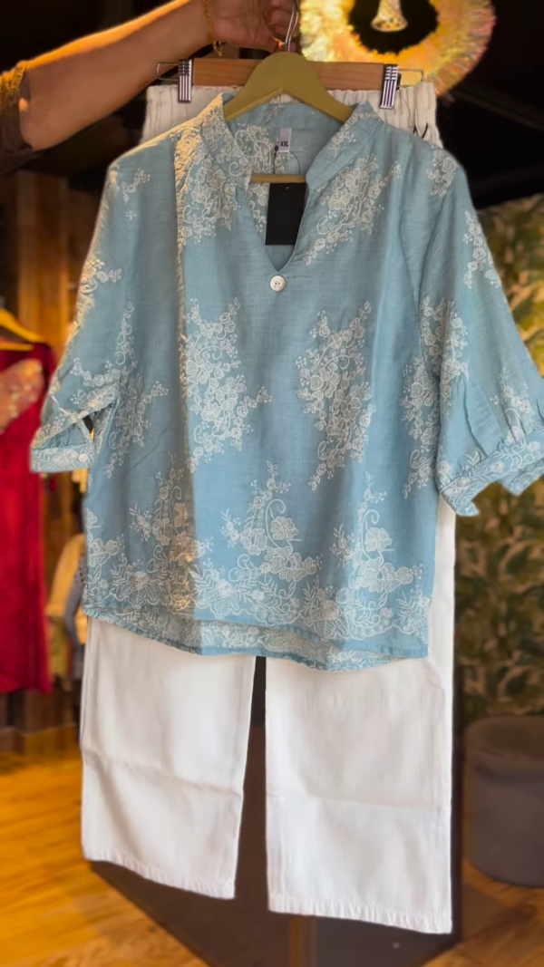 46-2-1.png Sky Bloom: Powder Blue Embroidered Co-Ord Set