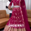 Wine Royalty: Intricately Embroidered Floral Lehenga Choli Set